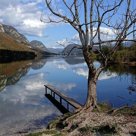 Boutique House Vresje Villa Bohinjska Bistrica Екстериор снимка