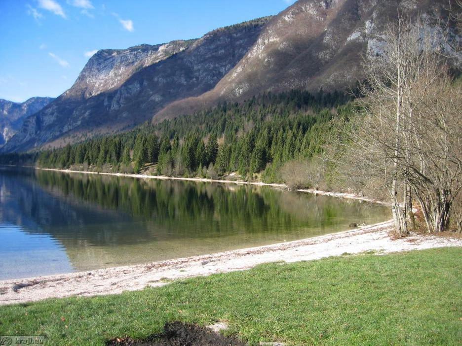 Boutique House Vresje Villa Bohinjska Bistrica Екстериор снимка